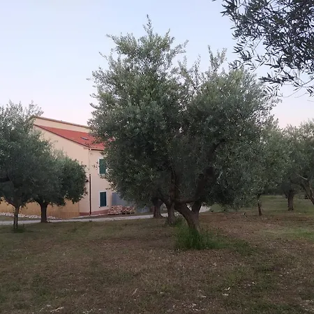 La Casa Di Maira Hébergement de vacances *